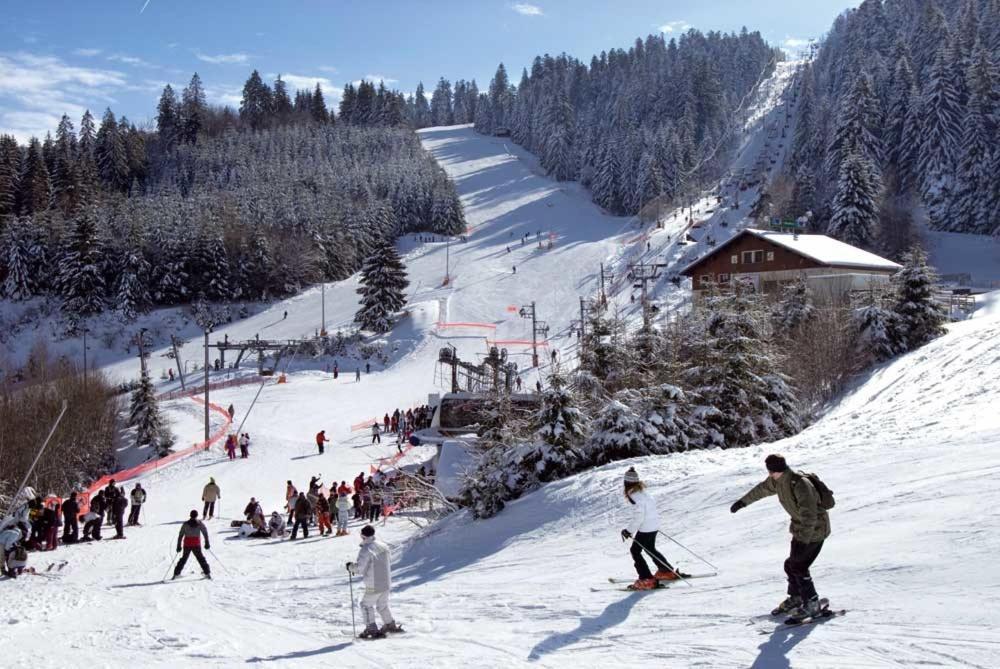 Chalet Les Camelias Spa Жерарме Екстер'єр фото